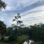 Loxahatchee River Battlefield Park
