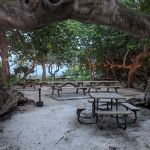 Hugh Taylor Birch State Park