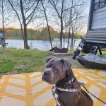 Lake Murphysboro Campground