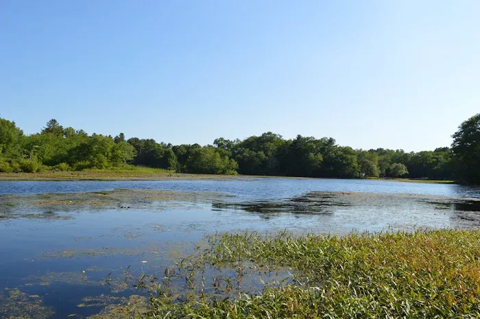 Nature's Campsites 1