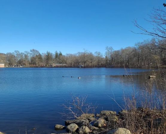 Buttonwood Park