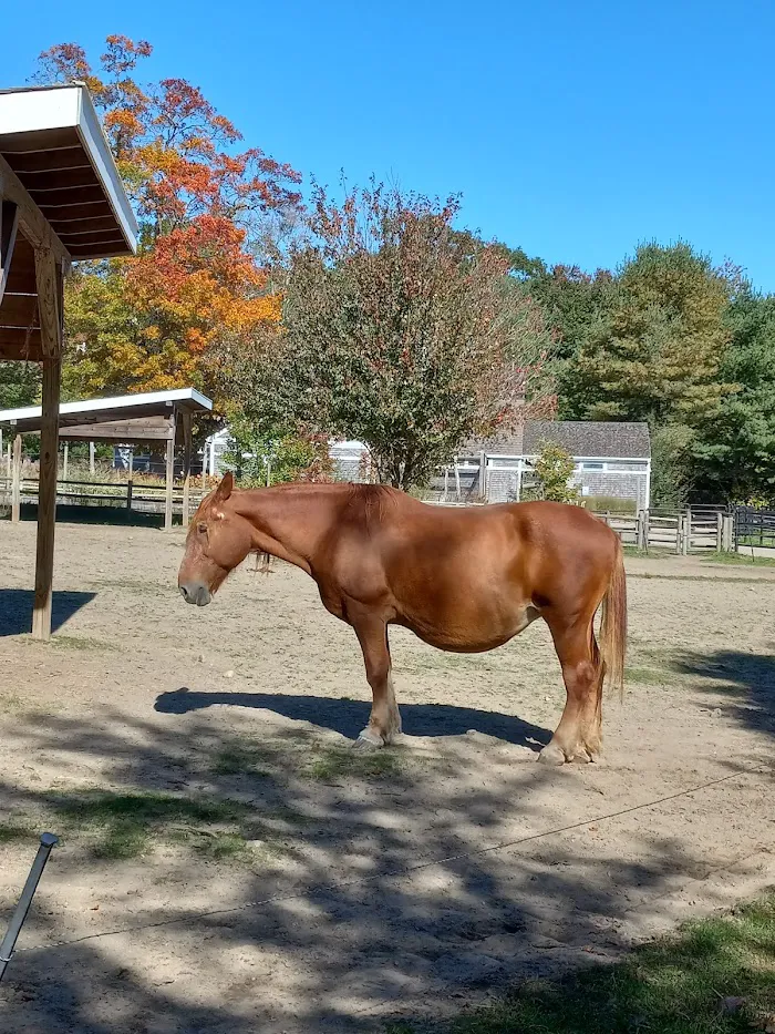 Buttonwood Park 8