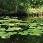 Mays Landing Campground