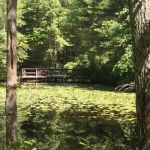 Hopeville Pond State Park