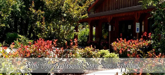 Driftwood Too! Camping Resorts 1