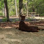 Ocean City Campground & Beach Cabins