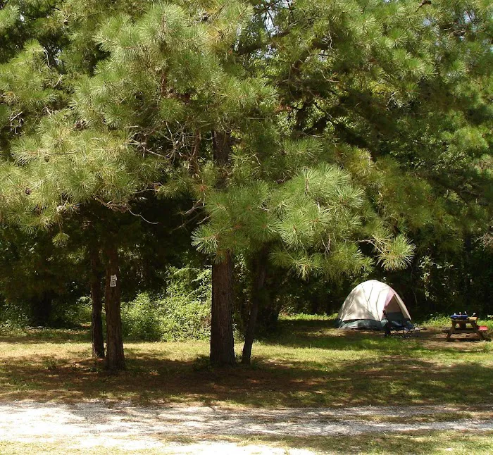 Adventure Bound Camping Resorts - Cape May 6