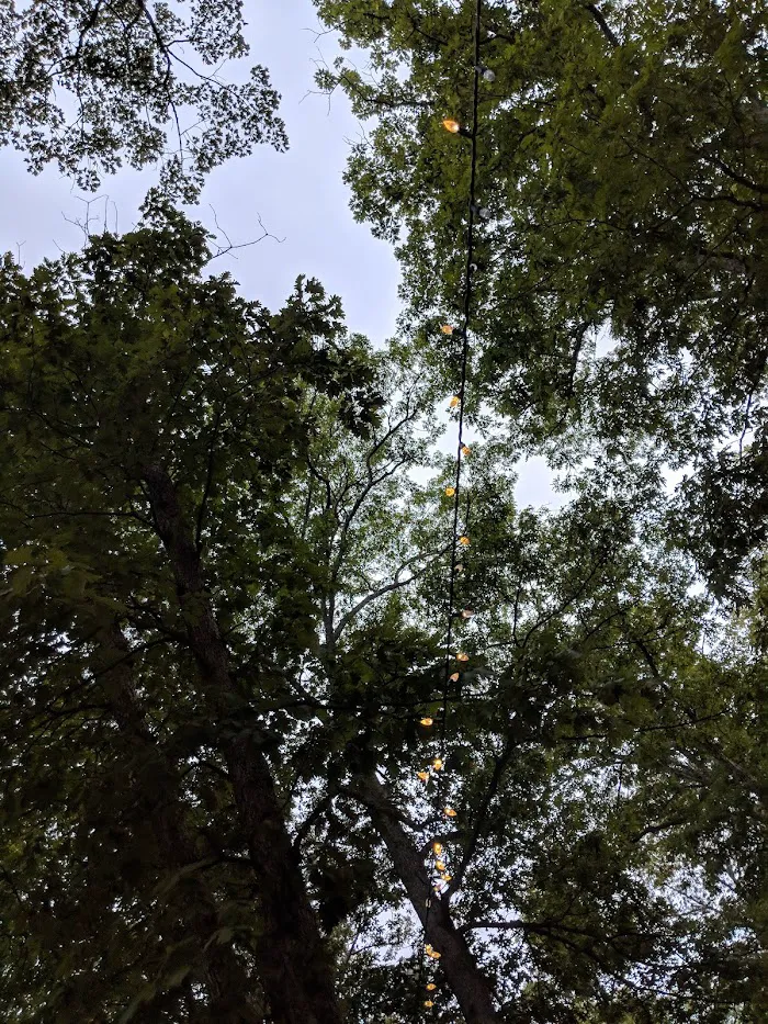 Shellbay Campground 3
