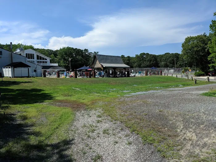 Shellbay Campground 5