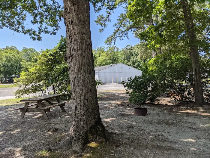 Shellbay Campground 6