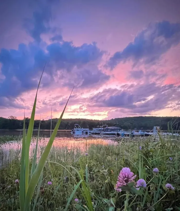 Camping du Grand Lac Noir 0