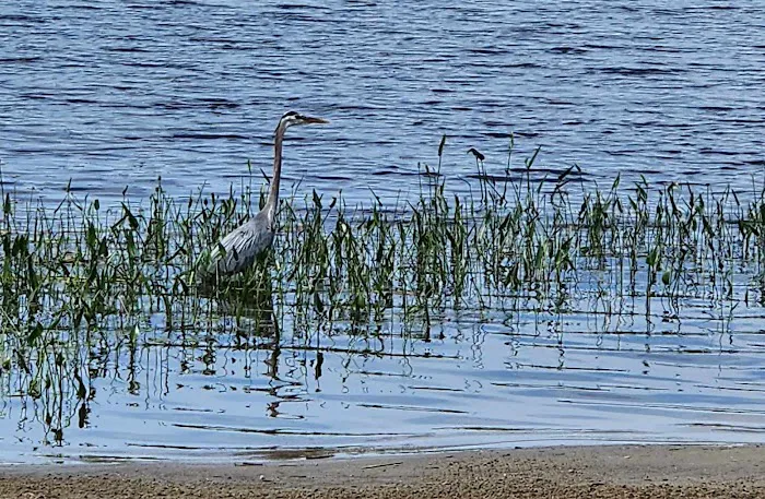 Camping du Grand Lac Noir 3