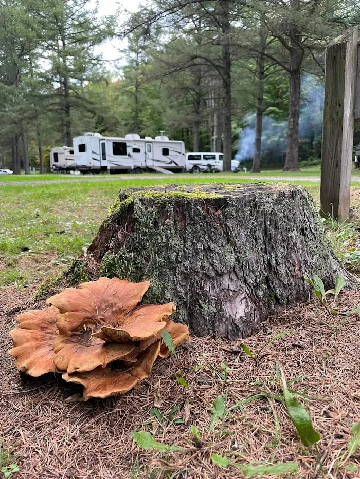 Natural Bridge / Watertown, NY KOA Journey 7