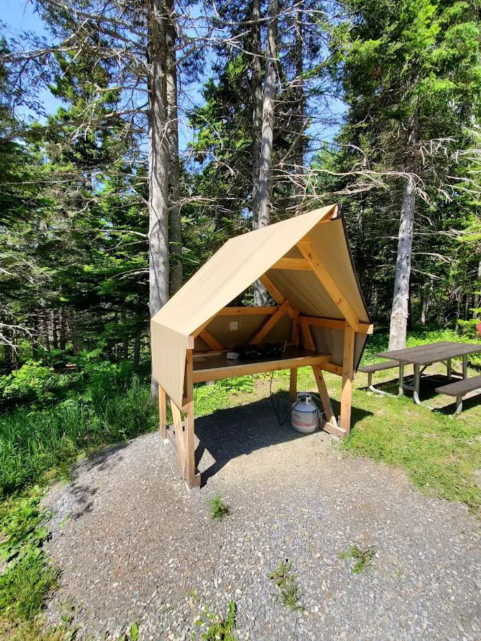 oTENTik Campground 9