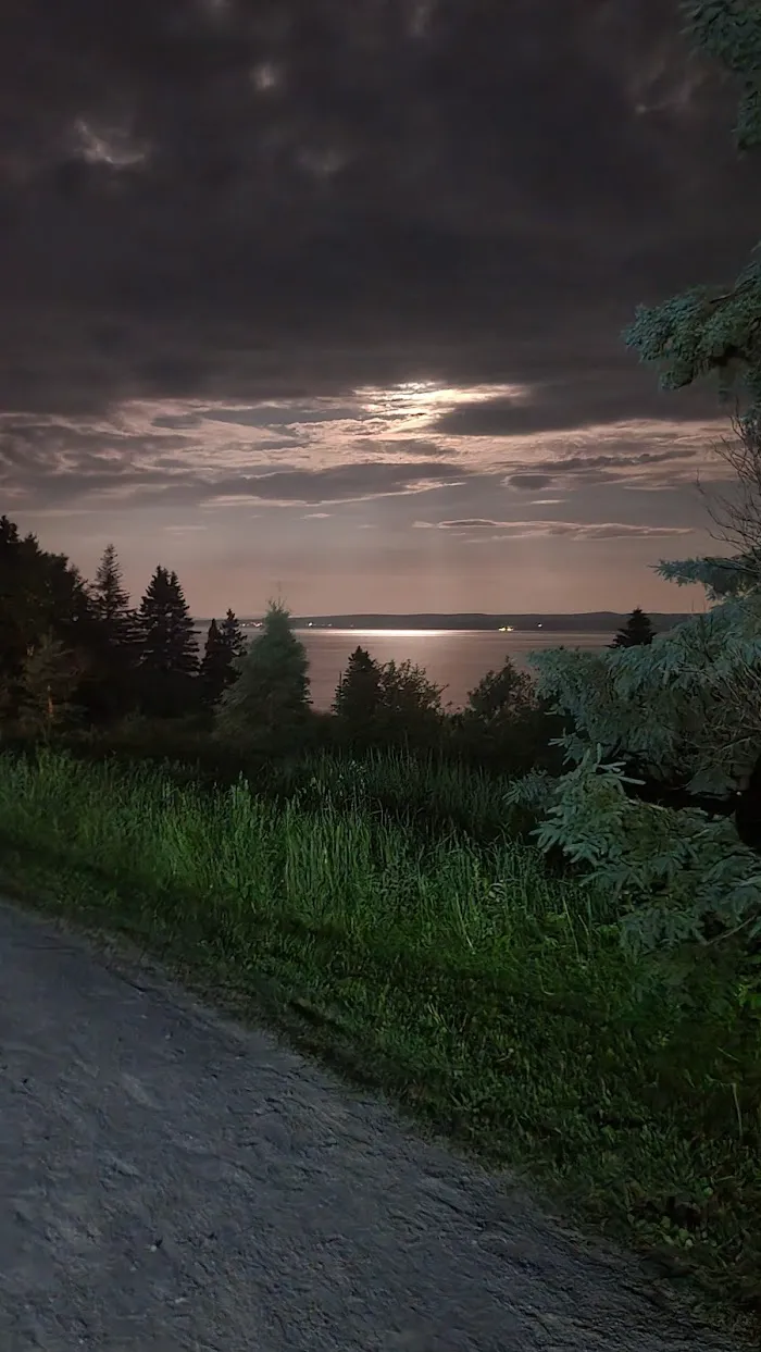 oTENTik Campground 4