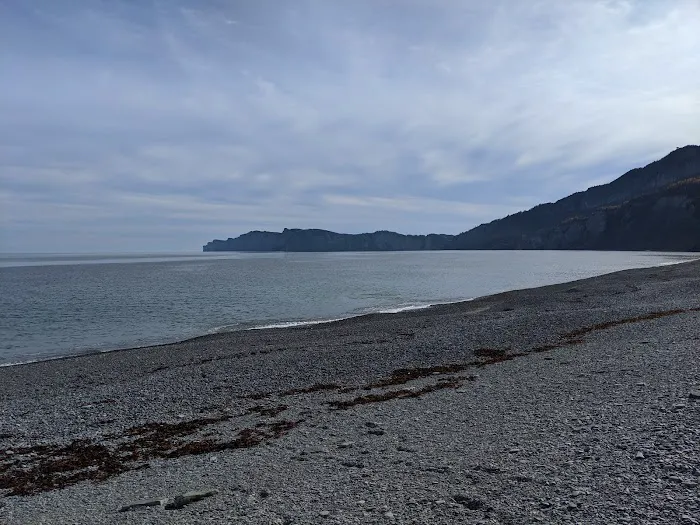 oTENTik Campground 2