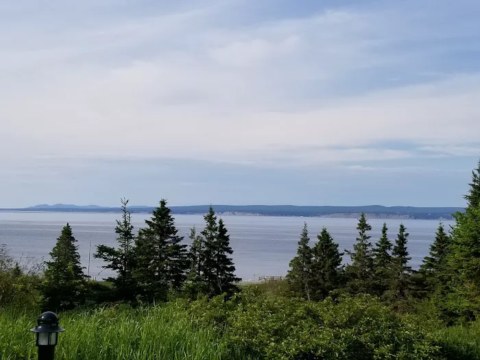 oTENTik Campground 3