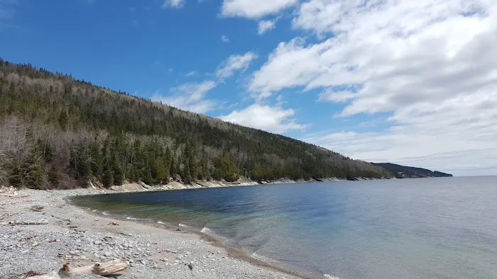 oTENTik Campground 1