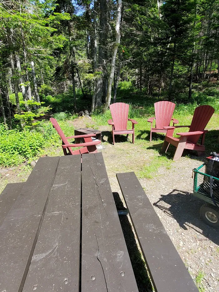 oTENTik Campground 7