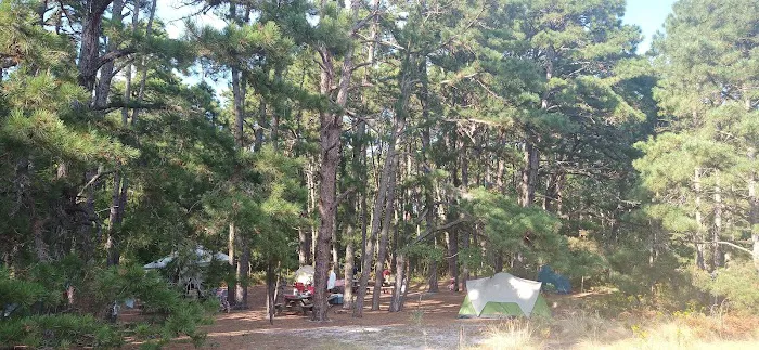 Group Campsites 0