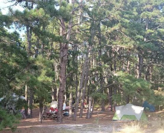 Group Campsites