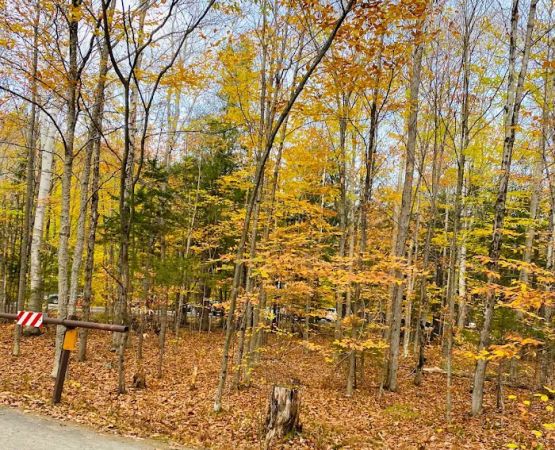 Hancock Campground