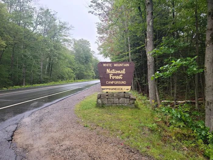 Hancock Campground 7