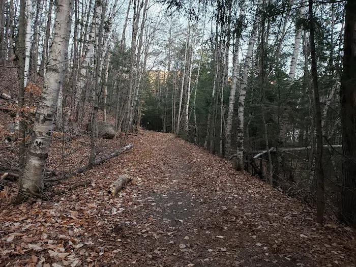 Hancock Campground 3