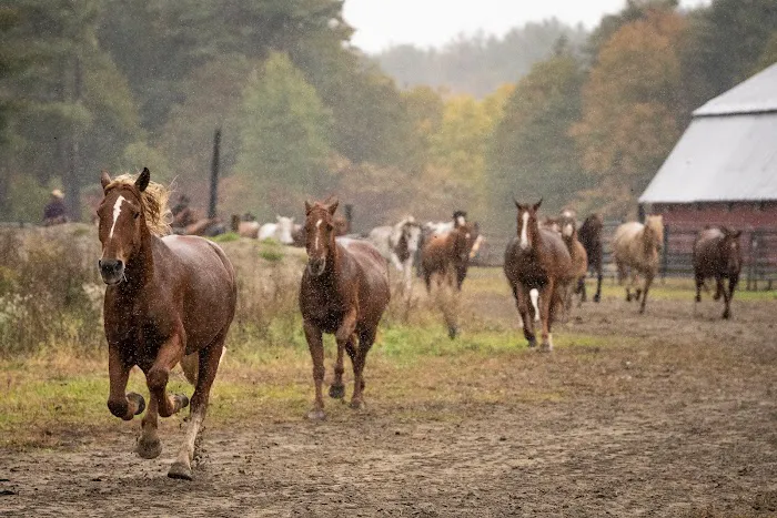 1000 Acres Ranch Resort 5