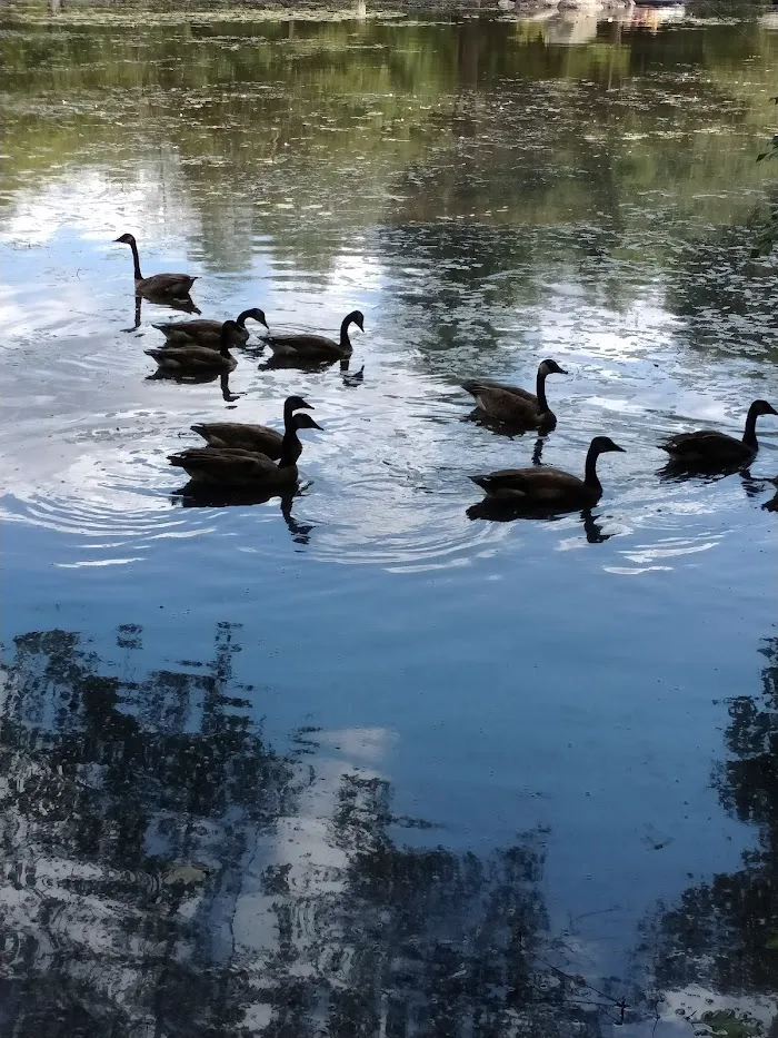 Canoe River Campground 4