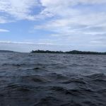 Woods Island State Park