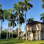 Collier-Seminole State Park