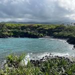 Waiʻānapanapa State Park