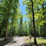 Bark Camp Recreation Area