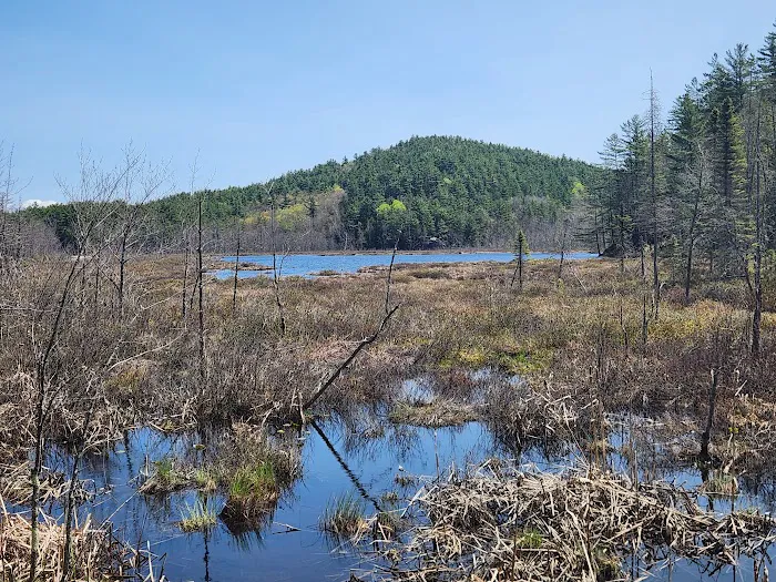 Lincoln Pond Campground 9