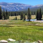 Tuolumne Meadows