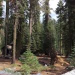 Cole Creek Campground