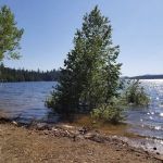 Azalea Cove Campground (recgovnpsdata)