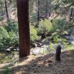 Wolf Creek Campground