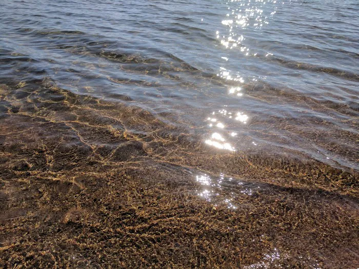 Nevada Beach Campground 5