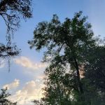 Fiddle Creek Campground