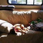 Coyote Valley RV Resort