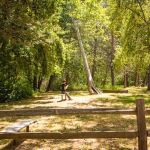 Thousand Trails Morgan Hill RV Resort