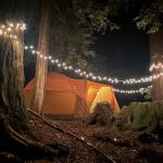 Tan Oak Campground, Mt Madonna County Park