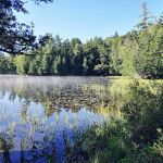 Saranac Lake Islands Campground - Campsite #44