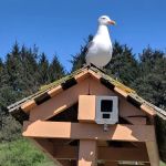 Clam Beach County Campground