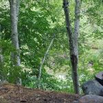 Hobo Gulch Campground