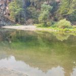 Matthews Creek Campground