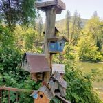 Chinook Winds RV Park