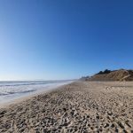 Manresa Uplands State Beach & Campground